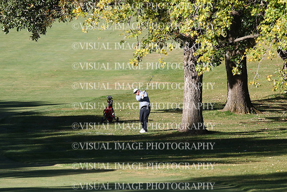 ILGF_24_T204013