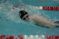 wiswg09_4frelay_2007