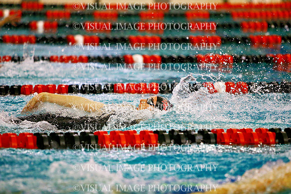 WISWG_24_S10019