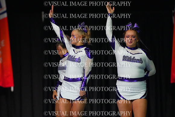 ILCHEER_25_S250009