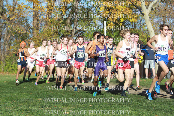 ILXC_14_30019