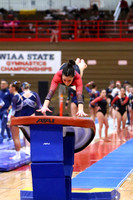 WIGYMG25_VAULT_T002