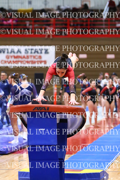 WIGYMG25_VAULT_T002