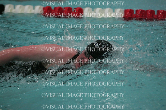 wisw09_5free_2008