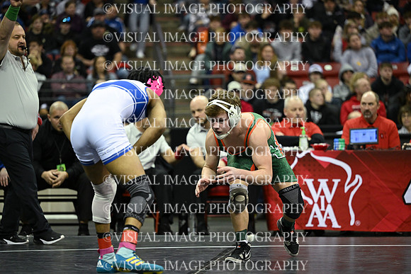 WIIWR25_126_31028