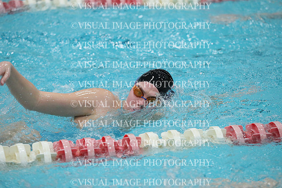 WISWG_16_S10031