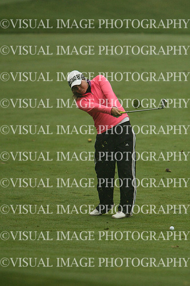 WIGFG_13_IND2081