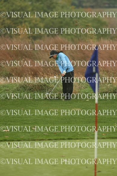 WIGFG_13_T109031