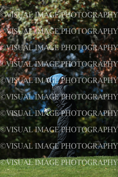 WIGFG_24_F20028