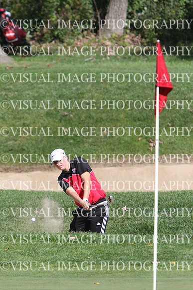 WIGF_16_T111031