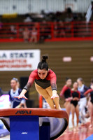 WIGYMG25_VAULT_T005