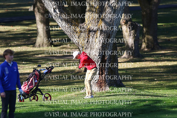 ILGF_24_T206008