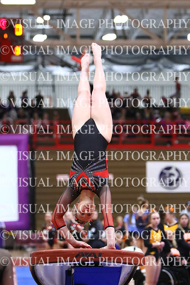 WIGYMG25_VAULT_T022