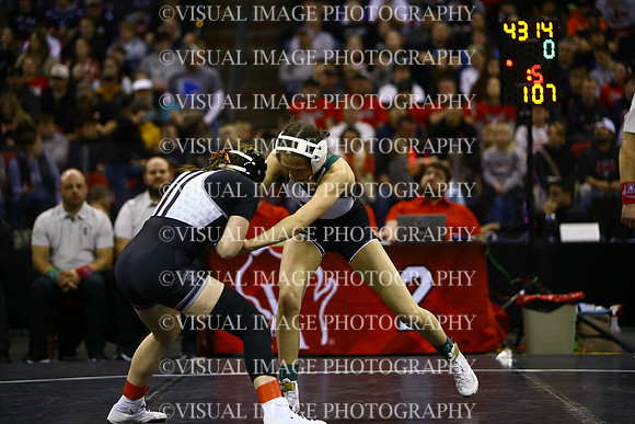 WIIWRG25_107_11017