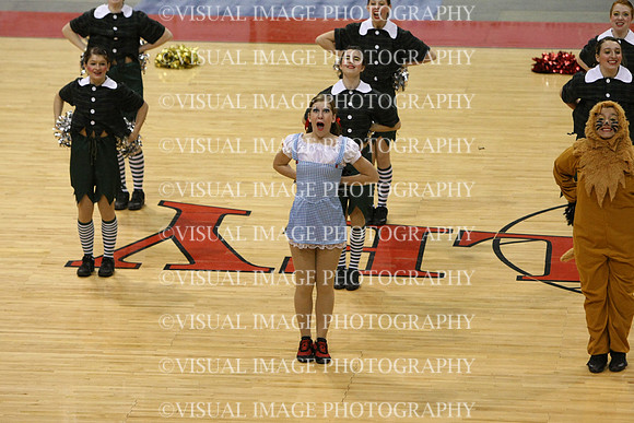 TDIHS12_POM_14010