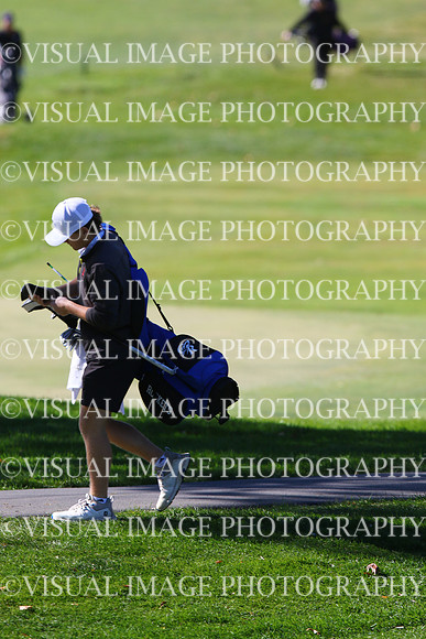 ILGF_24_T203016