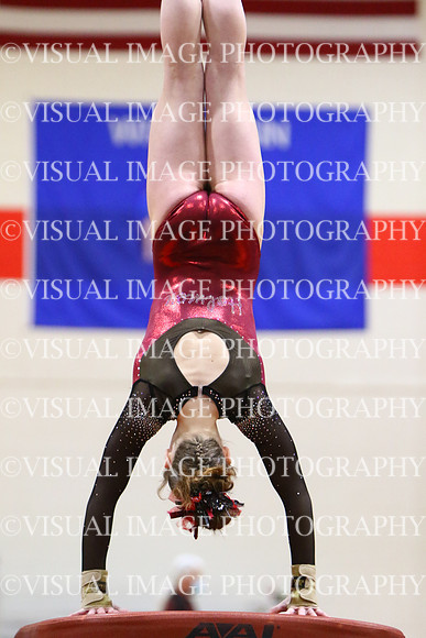 WIGMG22_VAULT_1031