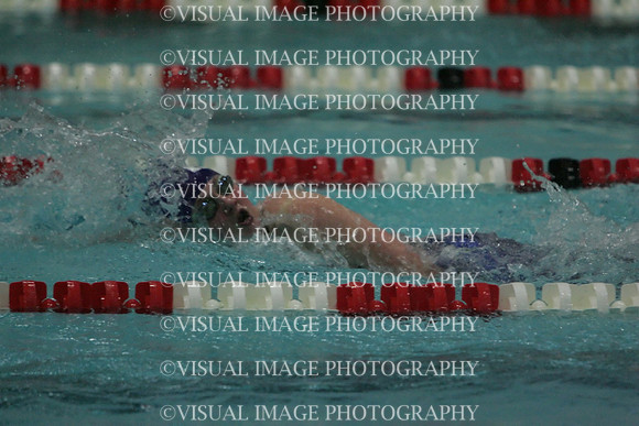 wiswg09_2free_2044