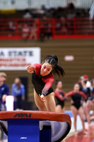 WIGYMG25_VAULT_T012