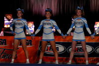 ILCHEER_25_S160002
