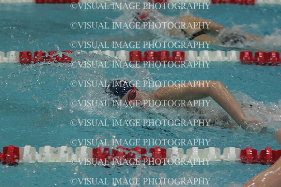 wiswg09_1free_1026
