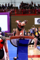 WIGYMG25_VAULT_T019