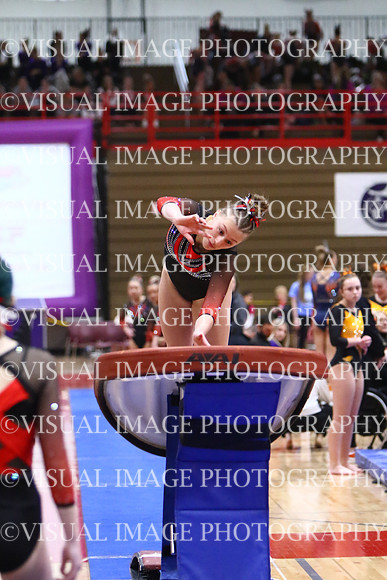 WIGYMG25_VAULT_T019