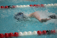 wisw10_2frelay_2014