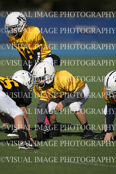 WSJFB_13_1036