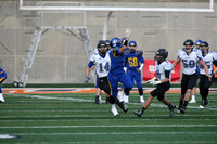 ILFB_14_20009