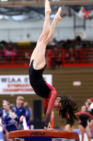 WIGYMG25_VAULT_T016