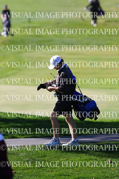 ILGF_24_T203014