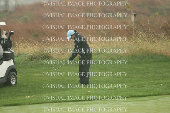 WIGFG_13_T102014