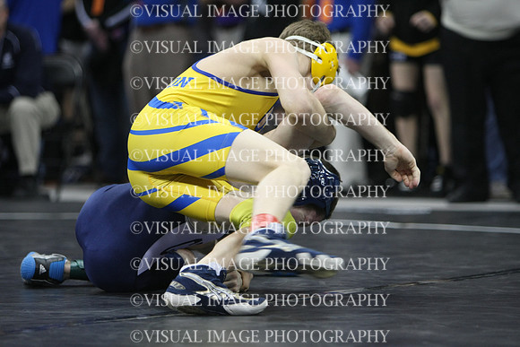 wiwr10_125_s2014