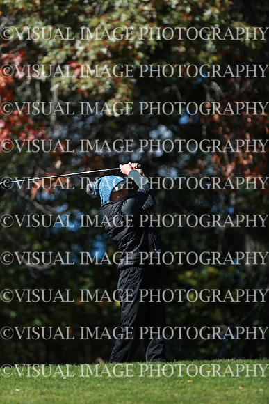 WIGFG_24_F20024