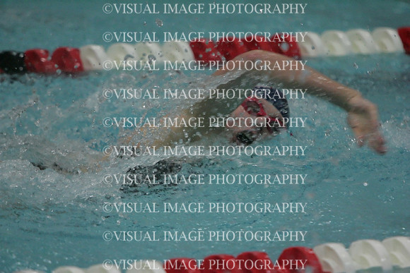 wiswg09_1free_1035