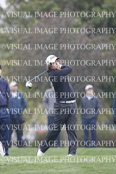 ILGF_13_T312033