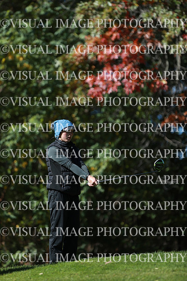 WIGFG_24_F20020