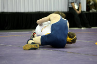wiwr10_135_f2012