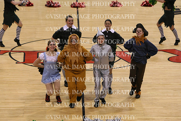 TDIHS12_POM_14024