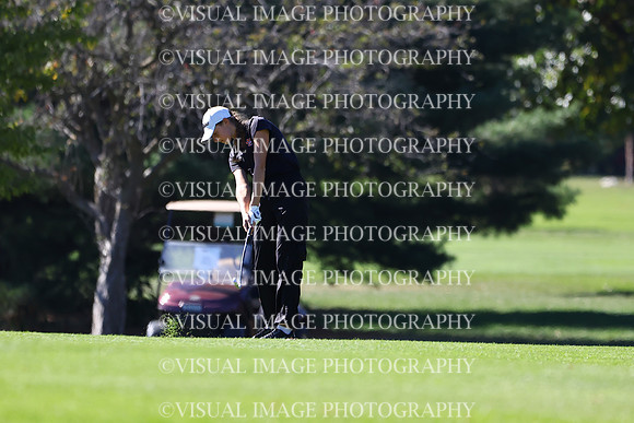 ILGFG_24_203004