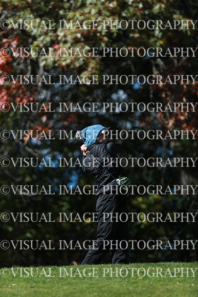WIGFG_24_F20027