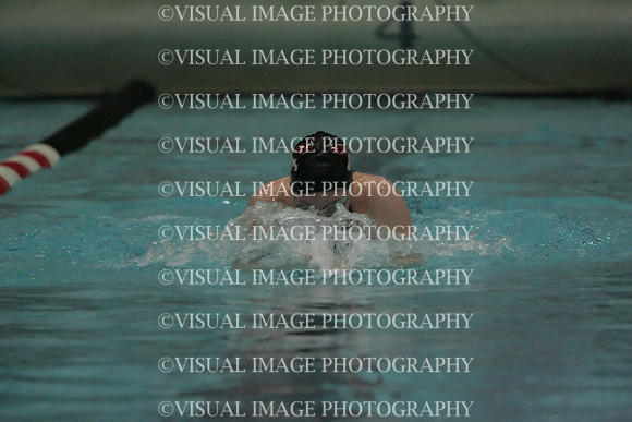 wiswg09_1breast_2038