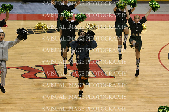 TDIHS12_POM_14017