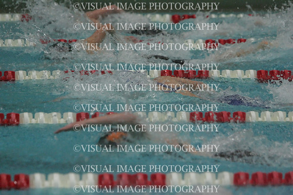 wiswg09_1free_1011