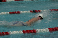 wiswg09_2frelay_2013