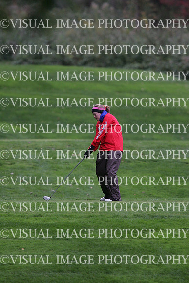 wigfg_09_t102004