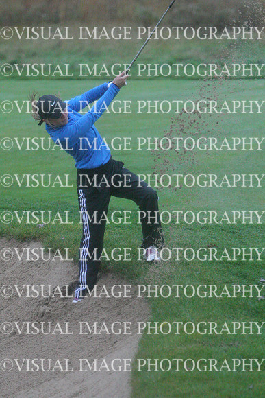 WIGFG_14_IND1029