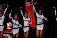 ILCHEER_25_S250003