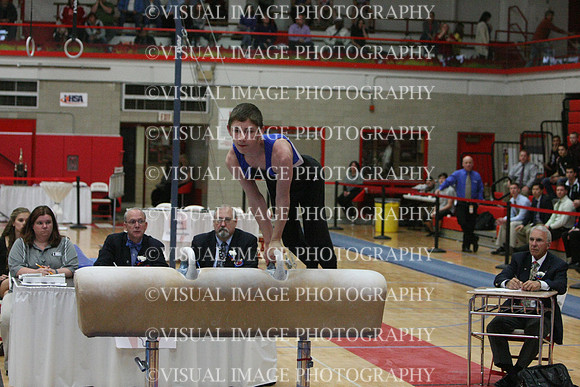 ILGYM14_PHORSE_I008